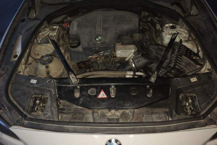 Used BMW 5 Series 2017 525Li Leading Model