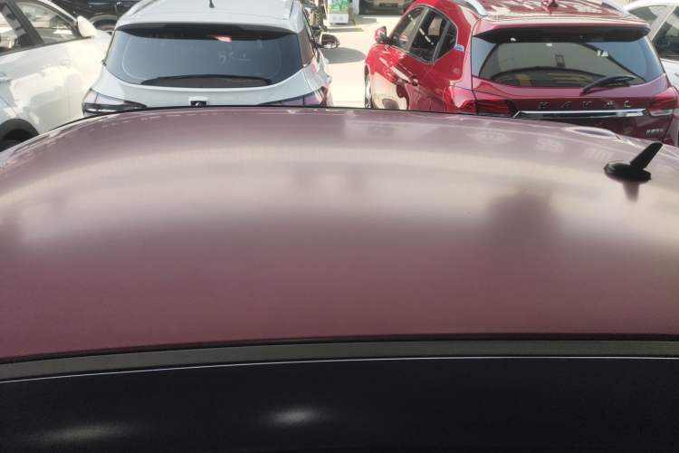 Used ORA Black Cat 2019 301km Standard Edition
