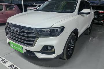 Used Haval H6 2021 National Trend Edition 1.5T Automatic Urban Version