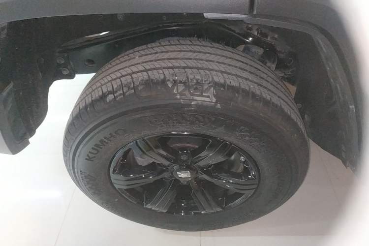 Used Tank 300 2024 2.0T Conqueror