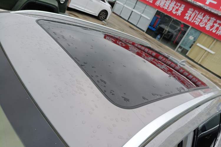 Used Hongqi HS5 2023 2.0T Four-Wheel Drive Flagship Pro Edition
