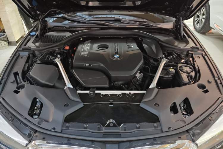 Used BMW 5 Series 2019 530Li xDrive Luxury Package
