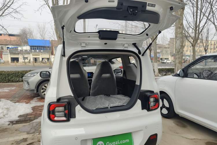 Used  Panda 2024 Panda Mini 200km Endurance Bear
