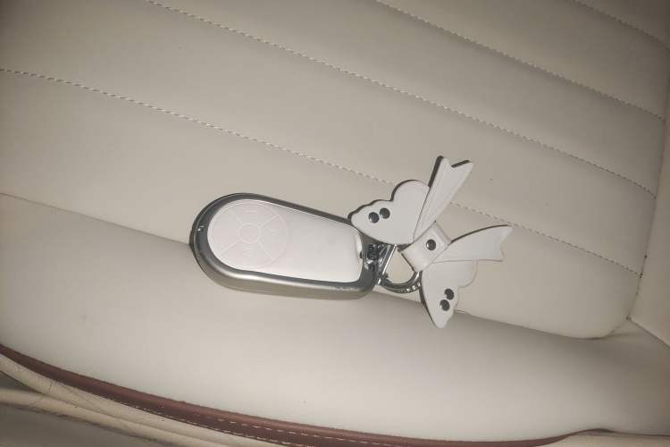 Used ORA Good Cat 2021 400km Standard Range Venus Edition Lithium Iron Phosphate
