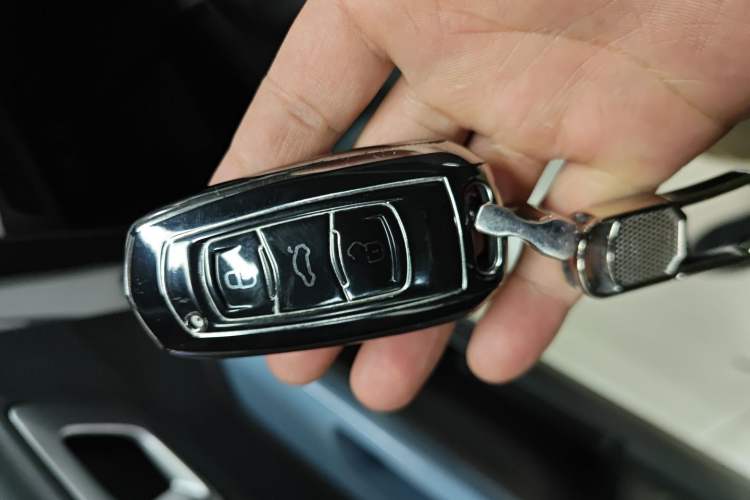 Used  Panda 2023 Panda Mini 200km Endurance Bear
