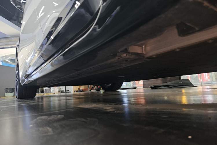 Used  06 2025 Ultra Pure Electric Edition