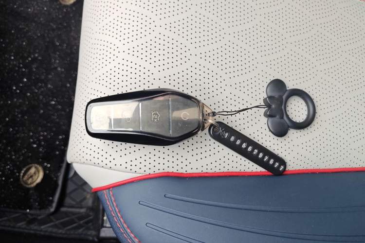 Used BYD Yuan PLUS 2022 430 km Luxury Version
