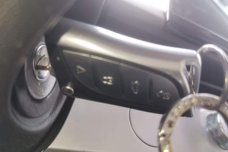 Used Qiyuan Lumin 2022 301km Honey-Sweet Version
