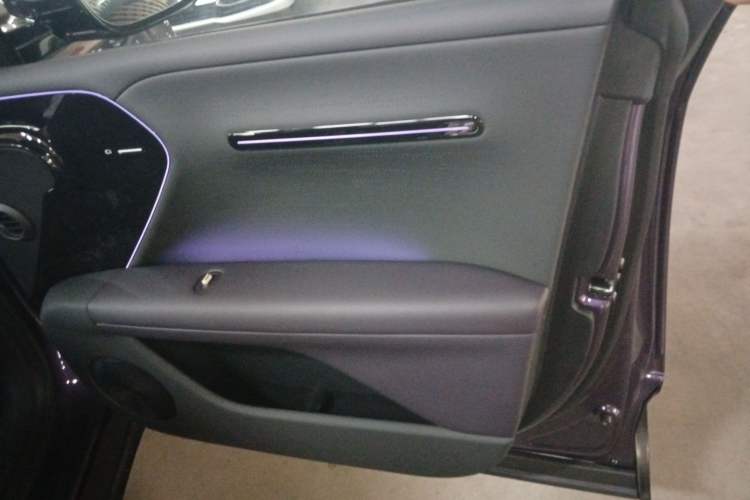 Used  07 2024 Max Pure Electric Edition
