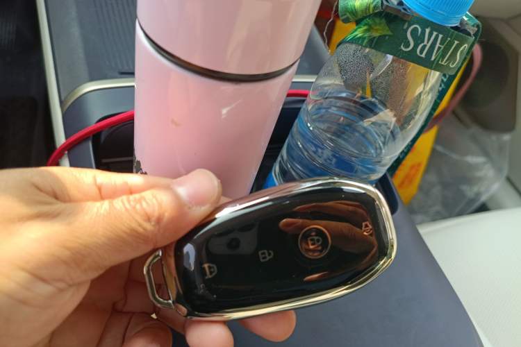 Used Buick L7 2025 Model Aivia
