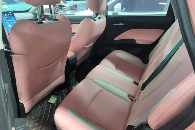 Used NETA V 2022 Chao 400 Lite Pink Custom Edition
