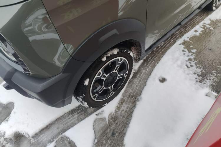 Used  Panda 2024 200km Panda Rider