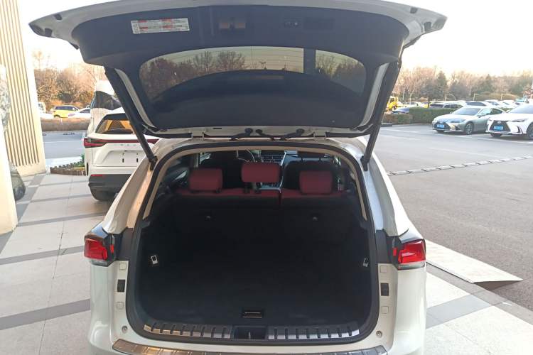 Used Lexus NX 2020 300h Front-Drive FENGSHANG Version China VI Standard