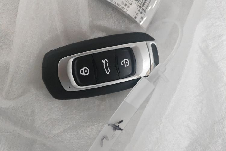 Used  Panda 2024 Panda Mini 200km Endurance Bear