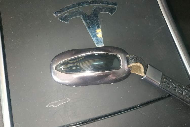 Used Tesla Model 3 2019 Standard Range Rear-Drive Upgraded Version
