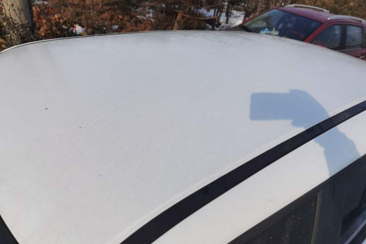 Used ORA White Cat 2020 305 km Luxury Version
