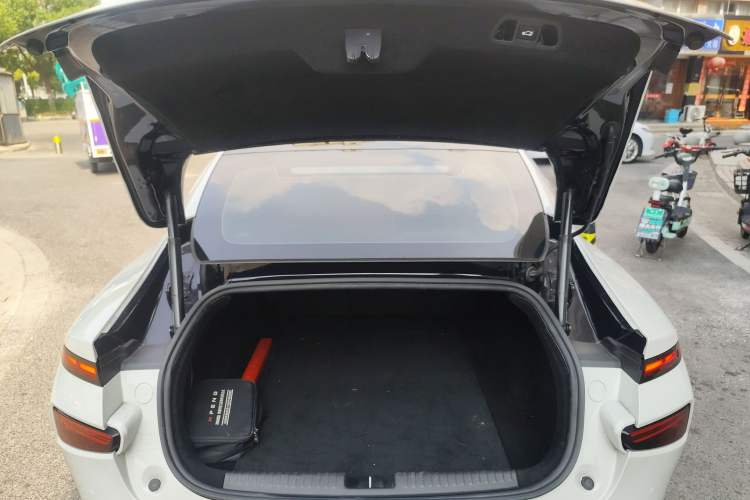 Used XPeng P7 2021 480N
