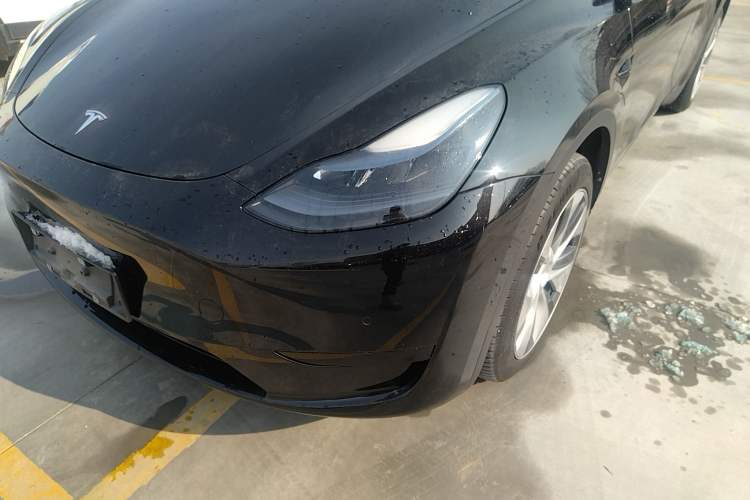 Used Tesla Model Y 2022 Rear-Wheel-Drive Version
