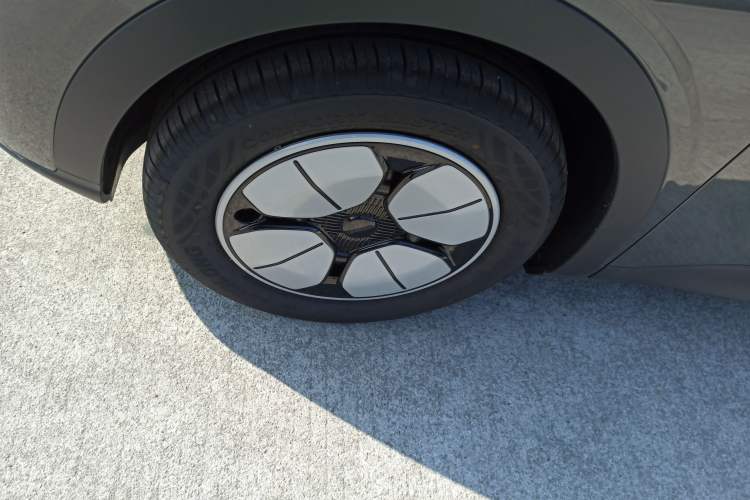 Used  Geome 2025 310km Youth Edition
