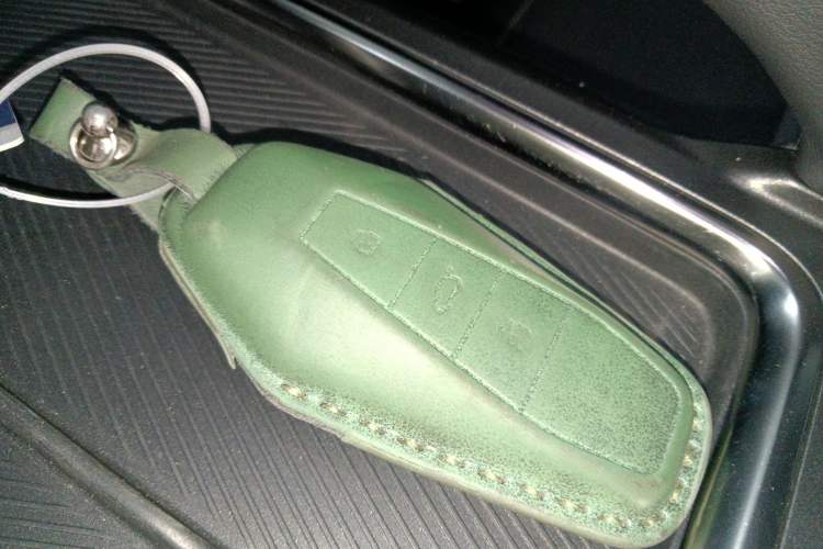 Used  03T 2024 520km Two-Wheel Drive Long-Range Version