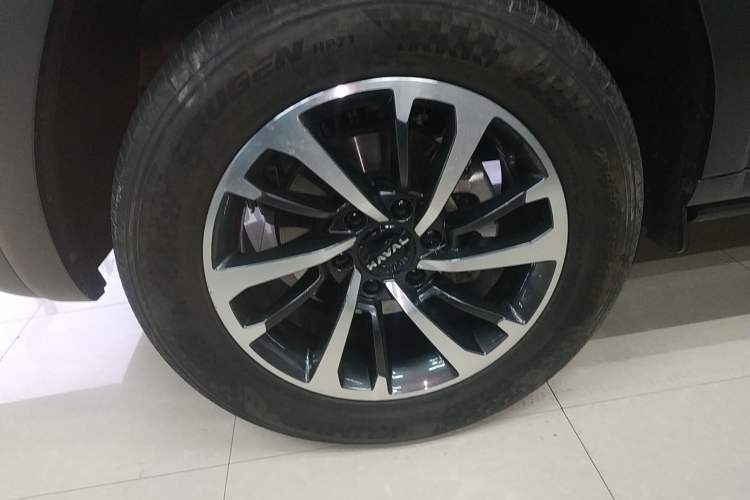 Used Haval H9 2024 2.0T Gasoline All-Wheel-Drive Extreme Edition
