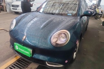 Used ORA Good Cat 2023 401 km Standard Range Luxury Version Lithium Iron Phosphate