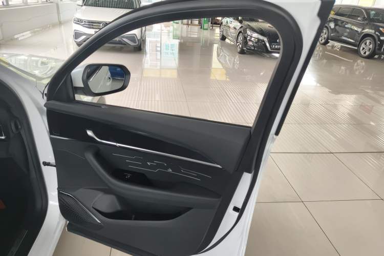 Used Geely Auto Monjaro L 2024 2.0TD High-Power Automatic Two-Wheel Drive Skyline Edition
