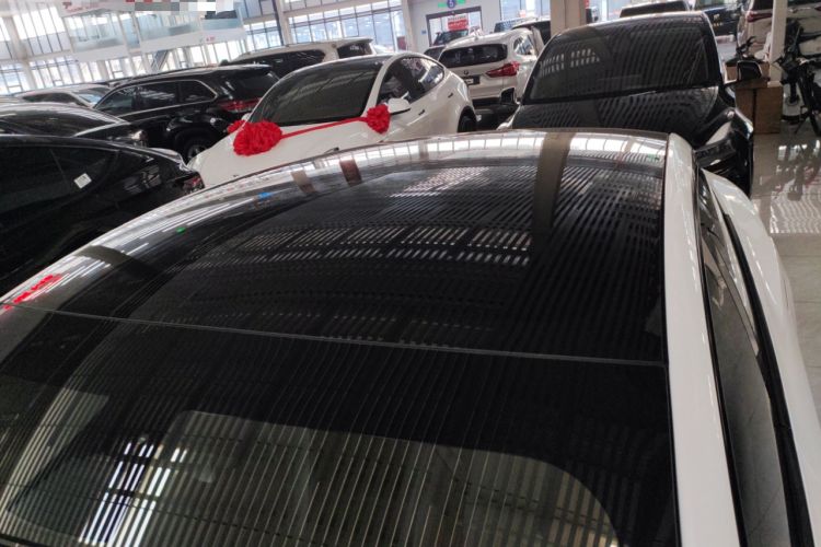 Used Tesla Model 3 2022 Rear-Wheel-Drive Version