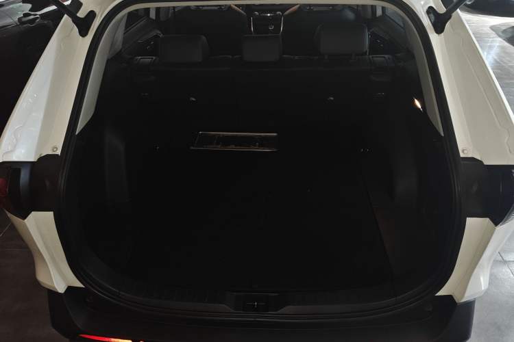 Used Toyota RAV4 2020 2.0L CVT Two-Wheel Drive Fashion PLUS Edition
