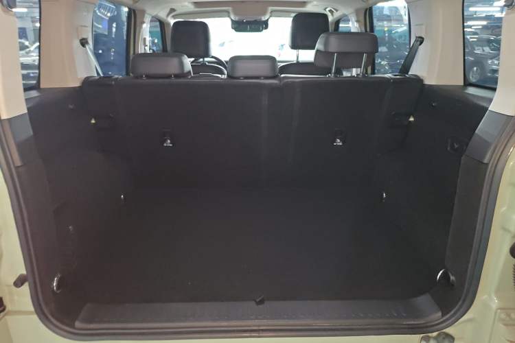 Used Tank 300 2021 City Edition 2.0T—Truly Stylish
