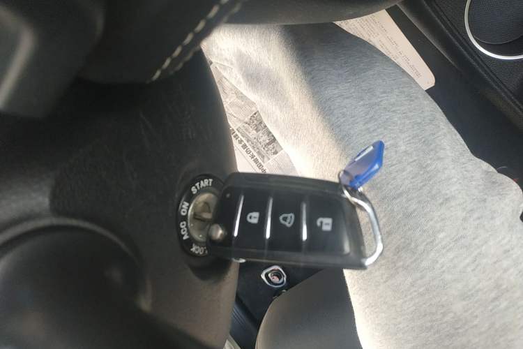 Used  iEV6E 2019 Upgraded iEV6E Luxury Model
