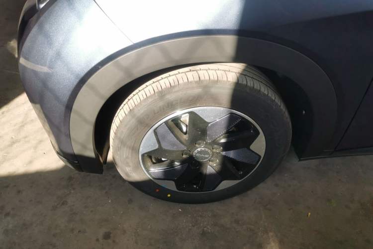 Used BYD Dolphin 2025 420km Free Edition
