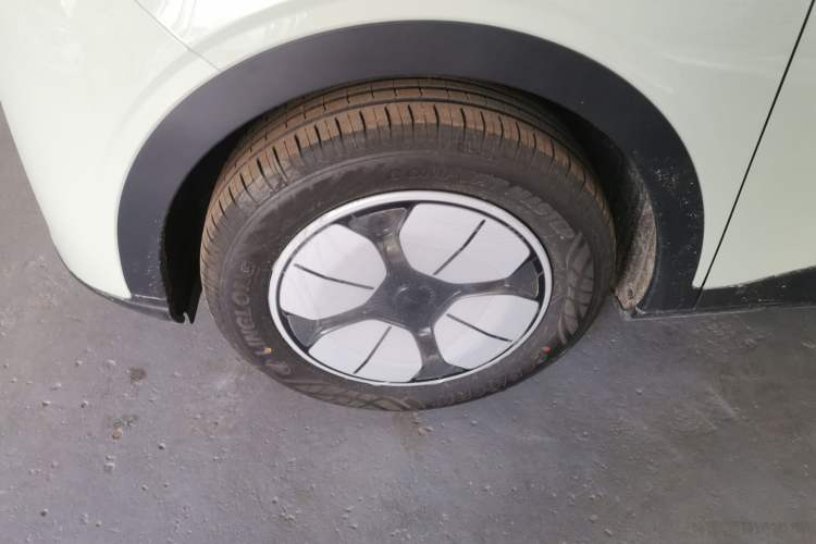 Used  Geome 2025 310km Youth Edition