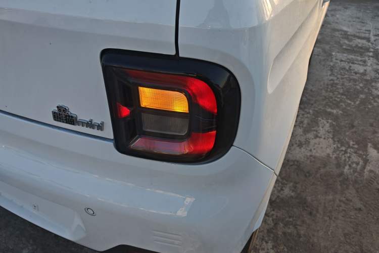 Used  Panda 2024 Panda Mini 200km Endurance Bear