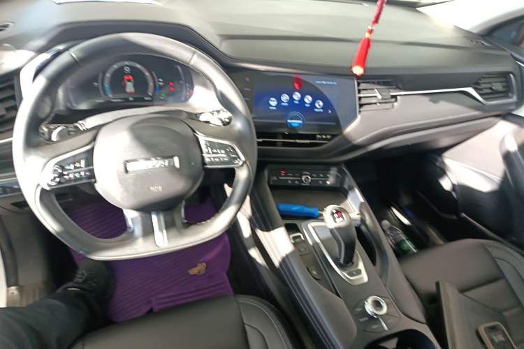 Used Haval F7 2019 2.0T Two-Wheel-Drive i-Van China VI Standard
