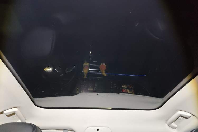 Used VOYAH FREE 2021 Four-Wheel Drive Standard Range-Extended Exclusive Luxury Package
