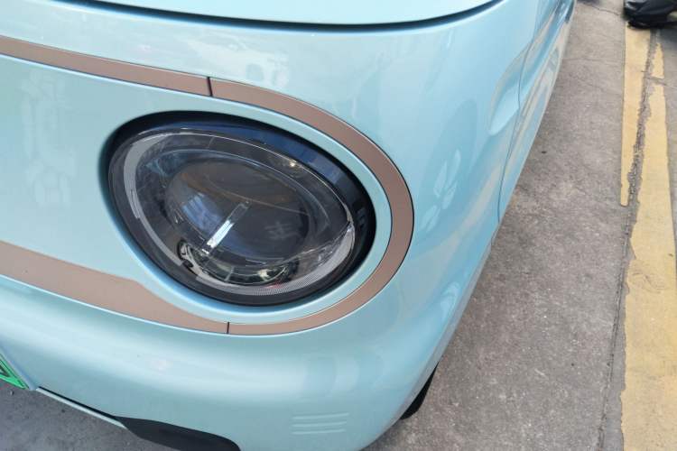 Used  Panda 2023 Panda Mini 200km Endurance Bear
