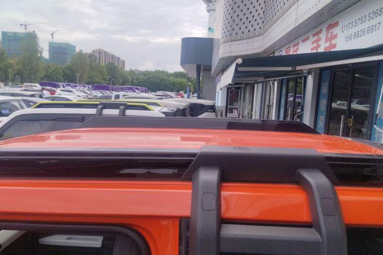 Used  Panda 2024 200km Panda Rider
