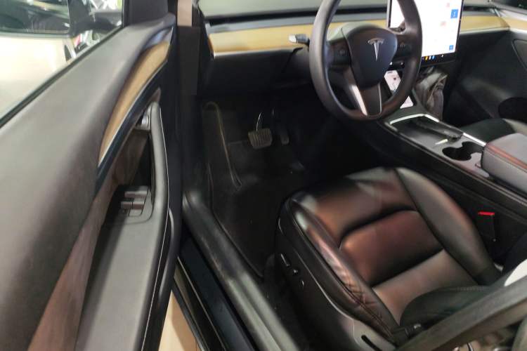 Used Tesla Model Y 2021 Standard Range Rear-Wheel Drive Version
