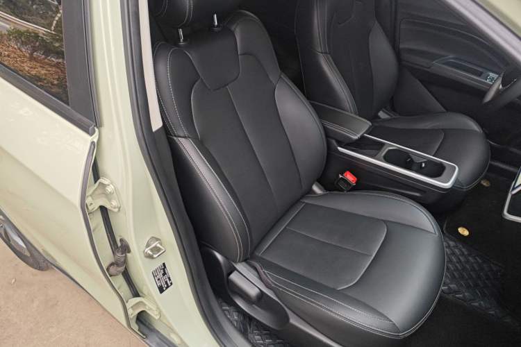 Used NETA V 2022 Chao 300 Lite Lithium Iron Phosphate
