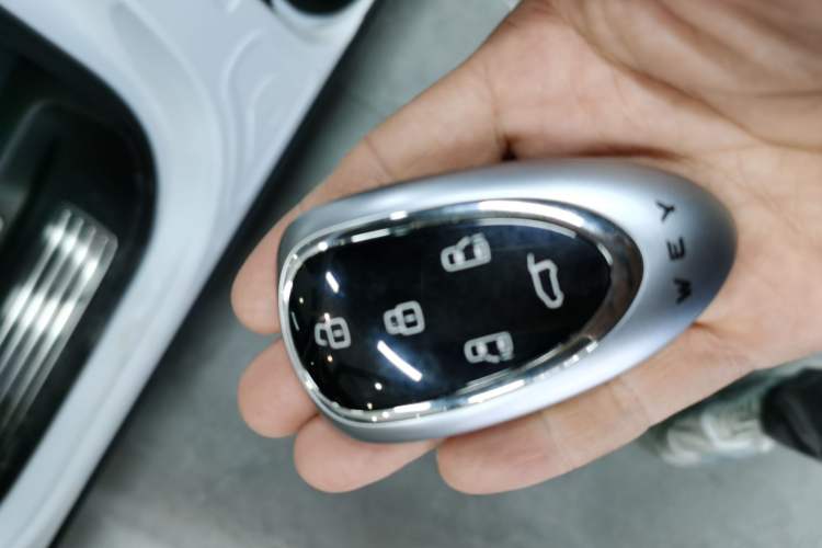 Used Wey Lanshan 2023 Four-Wheel Drive Ultra-Long Range Version
