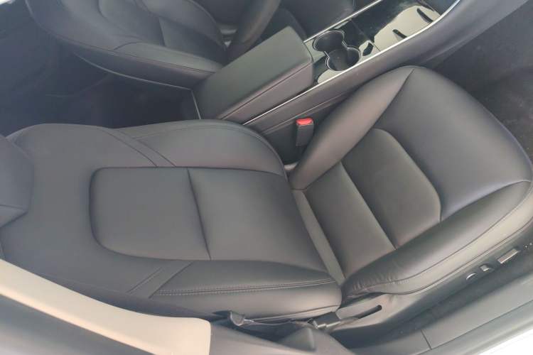 Used Tesla Model 3 2020 Revised Version Standard Range Rear-Wheel Drive – Upgraded Edition
