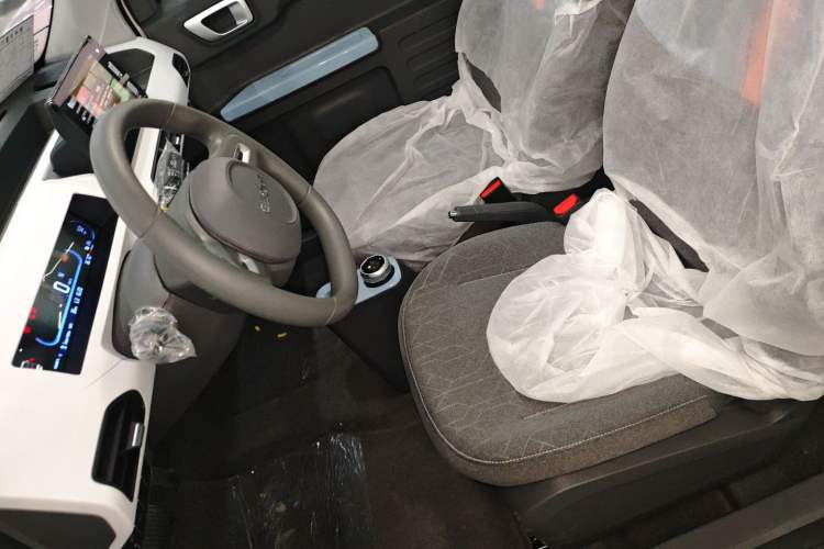 Used  Panda 2024 Panda Mini 200km Endurance Bear
