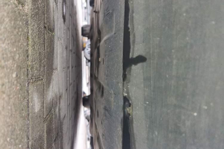 Used BYD Qin PLUS 2021 EV 400KM Luxury Model
