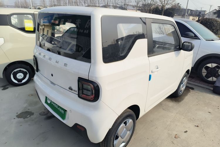 Used  Panda 2024 Panda Mini 200km Endurance Bear
