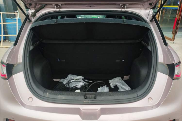 Used BYD Dolphin 2021 405 km Free Version
