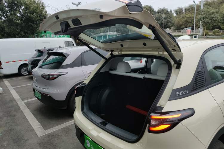 Used  Geome 2025 310km Dream Edition