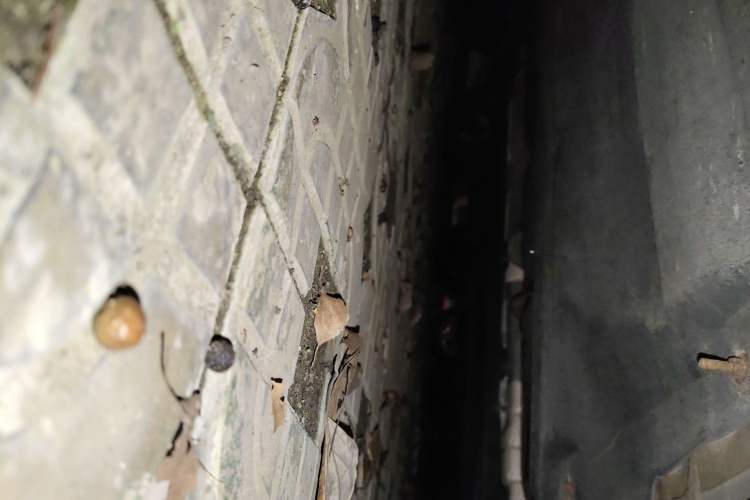 Used FORTHING Yacht 2022 1.5T DCT Lan Yue Edition
