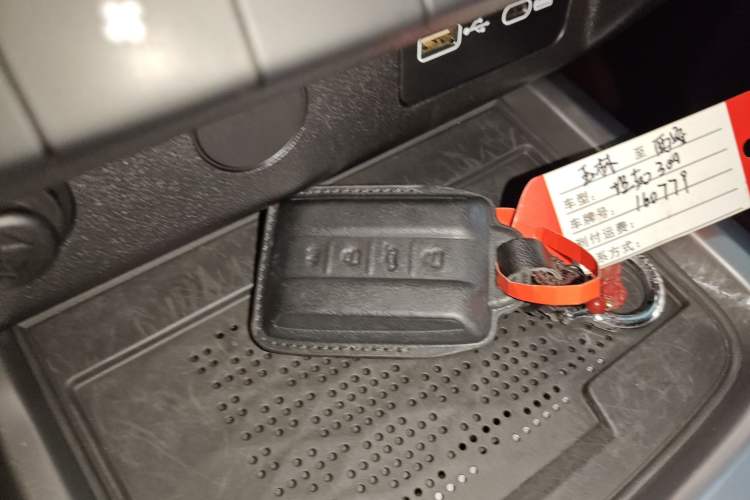 Used Tank 300 2024 2.0T Conqueror