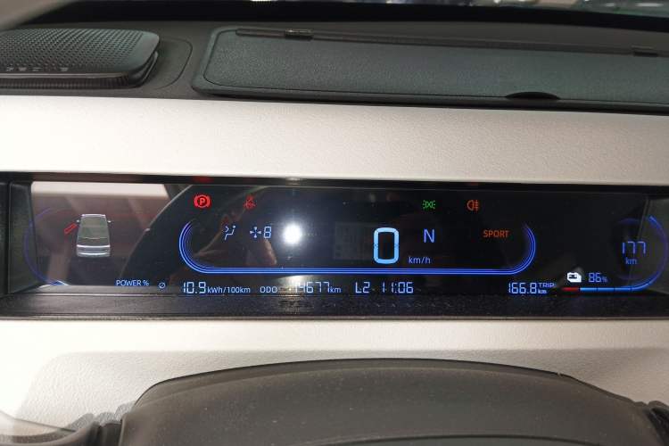 Used  Panda 2024 200km Panda Kart
